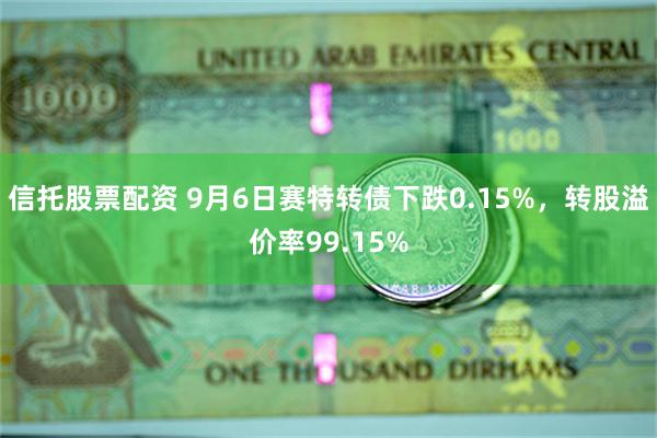 信托股票配资 9月6日赛特转债下跌0.15%，转股溢价率99.15%