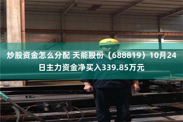 炒股资金怎么分配 天能股份（688819）10月24日主力资金净买入339.85万元