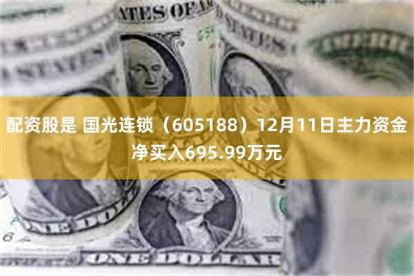 配资股是 国光连锁（605188）12月11日主力资金净买入695.99万元