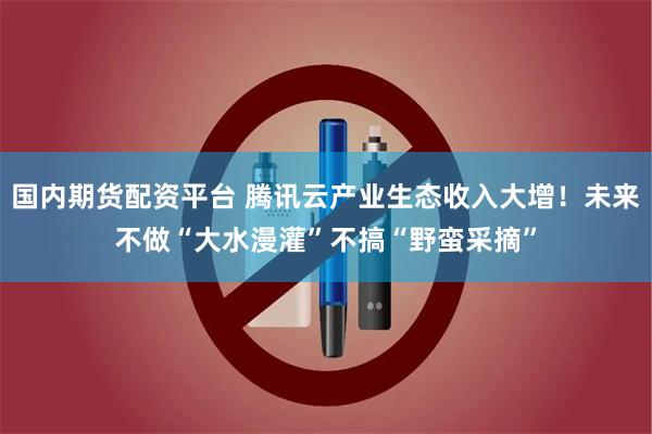 国内期货配资平台 腾讯云产业生态收入大增！未来不做“大水漫灌”不搞“野蛮采摘”