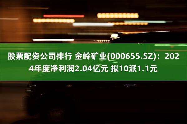 股票配资公司排行 金岭矿业(000655.SZ)：2024年度净利润2.04亿元 拟10派1.1元