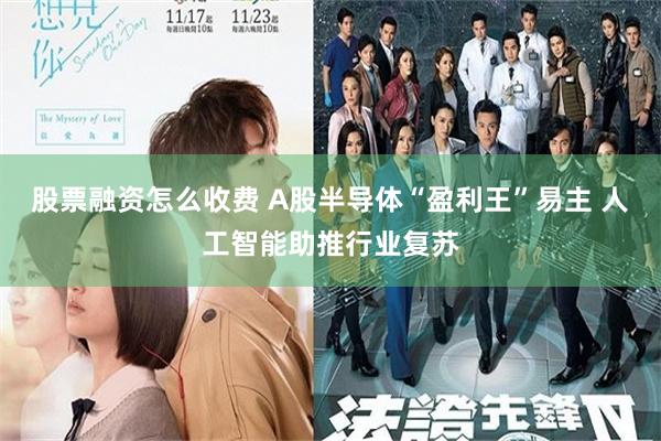股票融资怎么收费 A股半导体“盈利王”易主 人工智能助推行业复苏