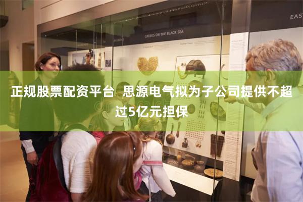 正规股票配资平台  思源电气拟为子公司提供不超过5亿元担保