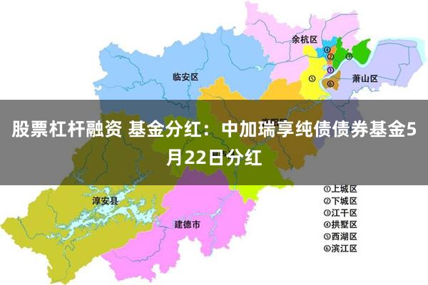 股票杠杆融资 基金分红：中加瑞享纯债债券基金5月22日分红