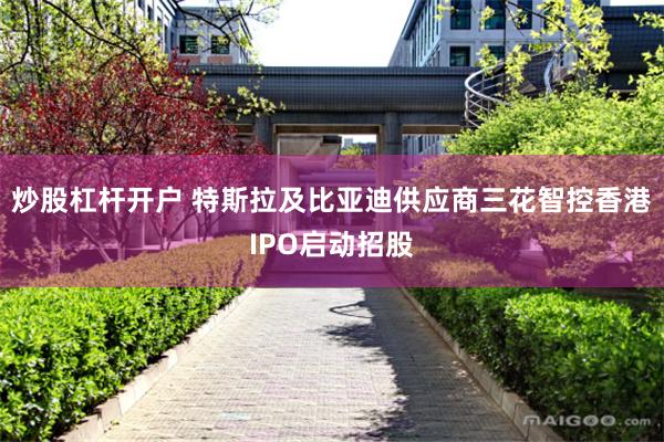 炒股杠杆开户 特斯拉及比亚迪供应商三花智控香港IPO启动招股