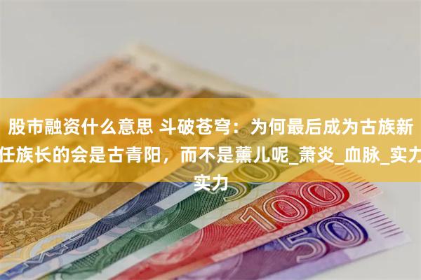 股市融资什么意思 斗破苍穹：为何最后成为古族新任族长的会是古青阳，而不是薰儿呢_萧炎_血脉_实力
