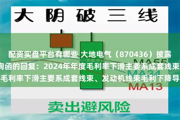 配资实盘平台有哪些 大地电气（870436）披露对北交所2024年年报问询函的回复：2024年年度毛利率下滑主要系成套线束、发动机线束毛利下降导致