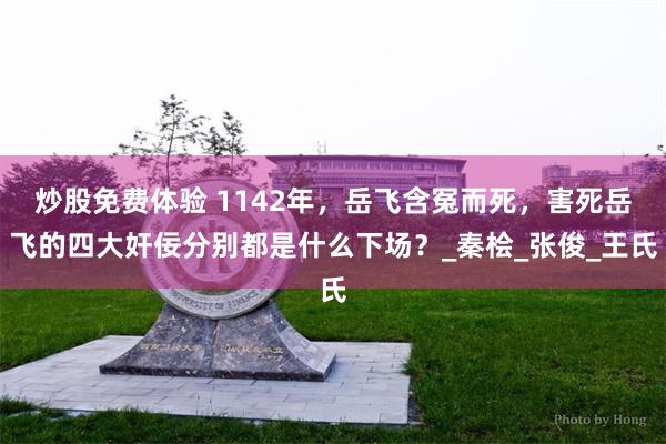 炒股免费体验 1142年，岳飞含冤而死，害死岳飞的四大奸佞分别都是什么下场？_秦桧_张俊_王氏