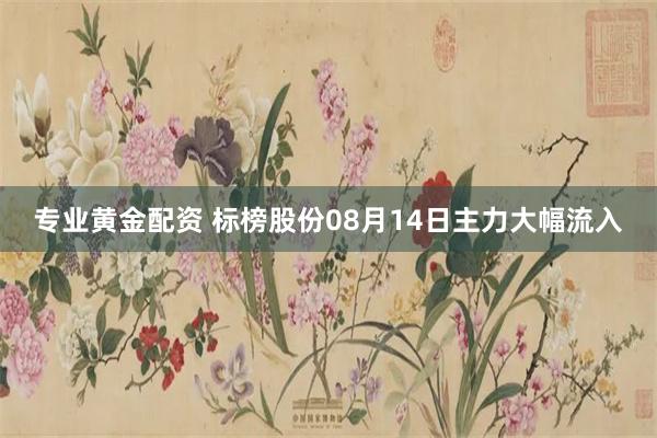 专业黄金配资 标榜股份08月14日主力大幅流入