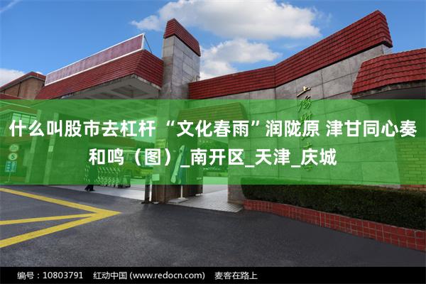 什么叫股市去杠杆 “文化春雨”润陇原 津甘同心奏和鸣（图）_南开区_天津_庆城
